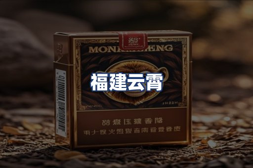 福建云霄
